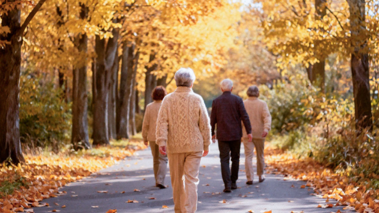 Varias personas caminando por una pista en un parque, de espaldas